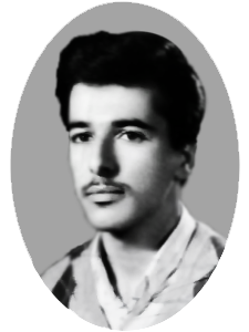 محمود-عبدالفتاح-بديوي